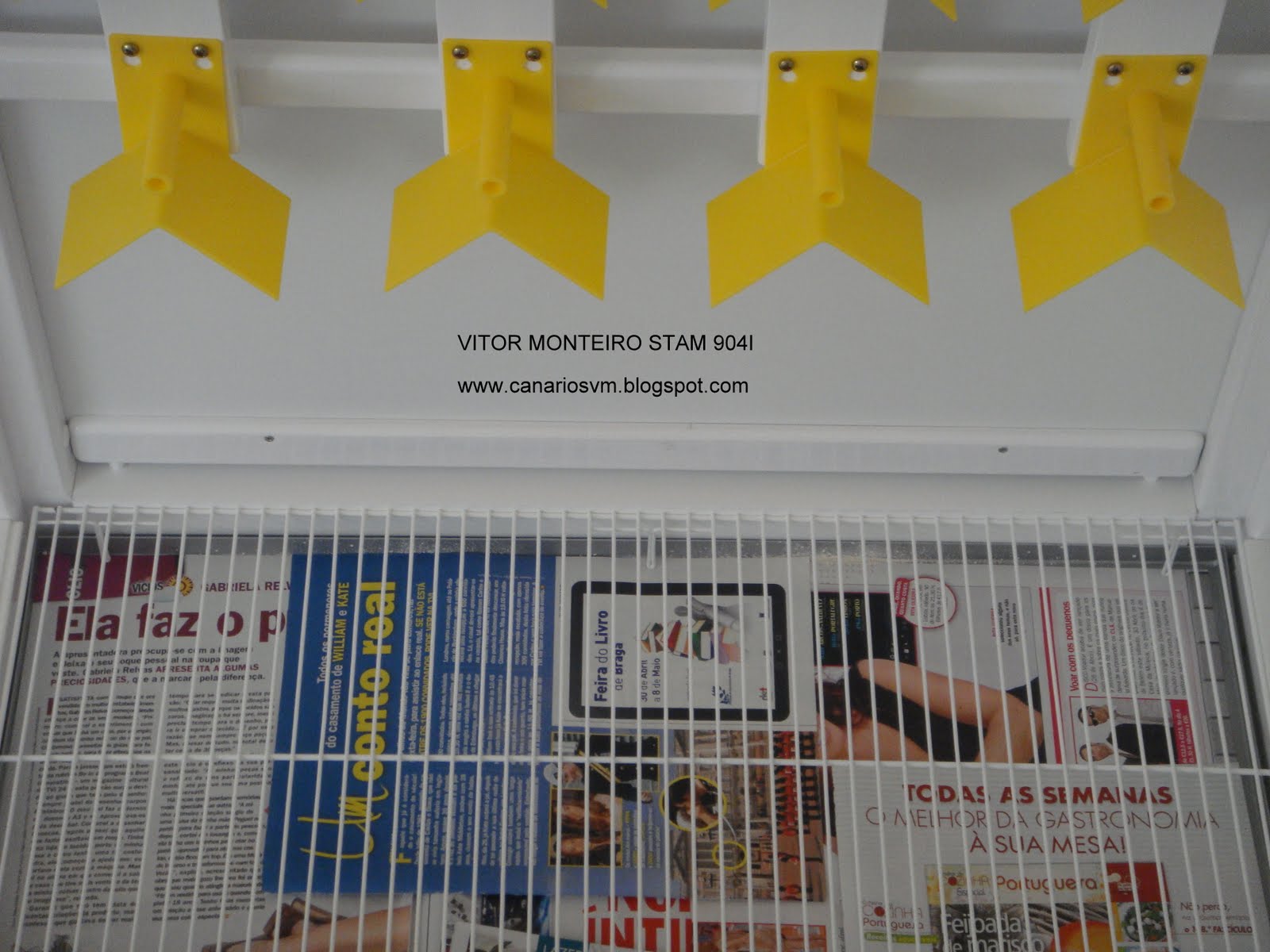 O cantinho dos Canarios Voadeira concluida ! (Fotos)