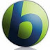 Remove Babylon toolbar