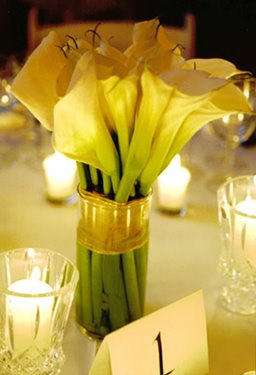 Calla Lilies on Posted By Mad Coco At 8 41 Pm Labels Calla Lilies Centerpieces