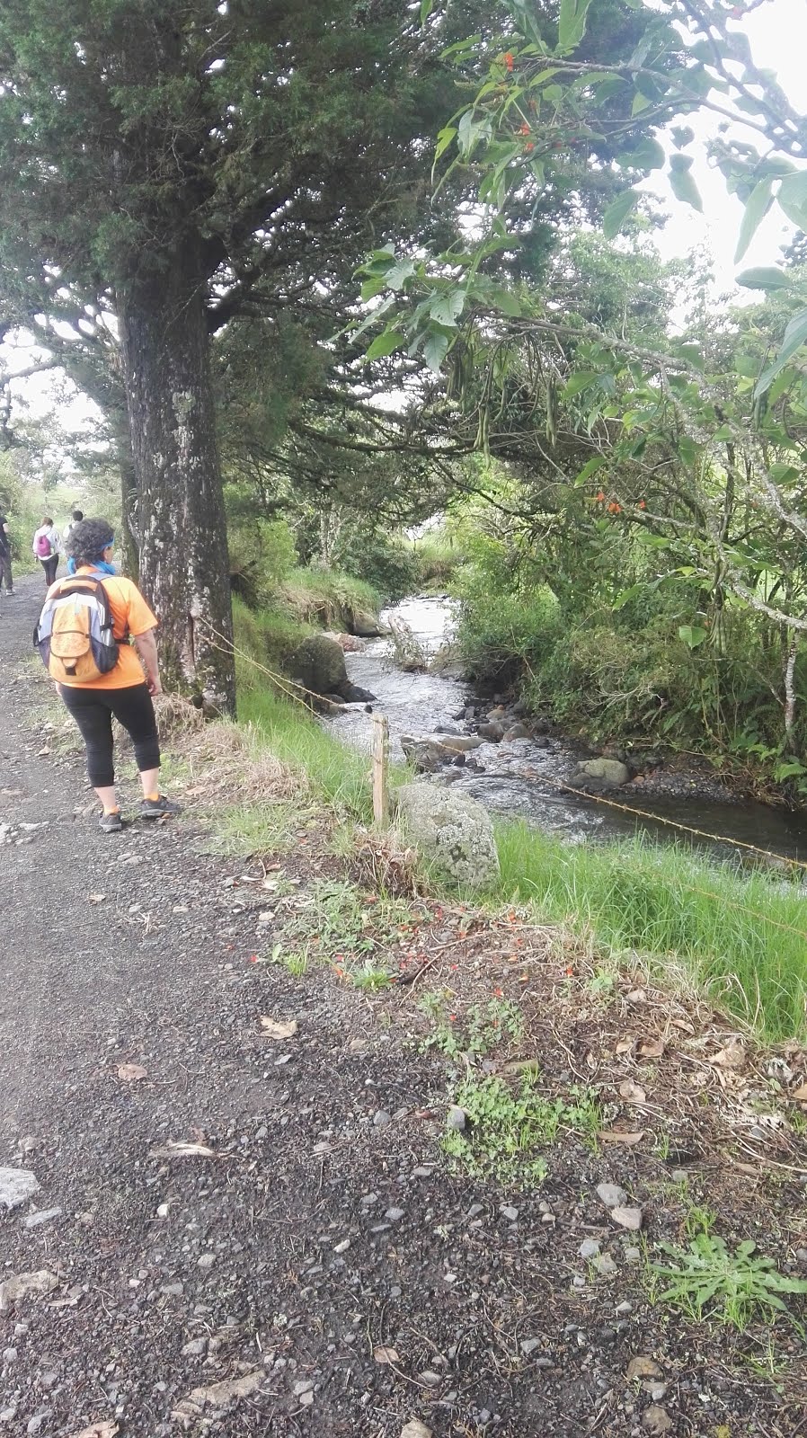 14. Vereda el Roble