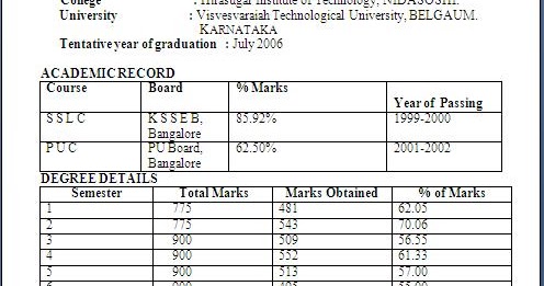 unique resume layouts