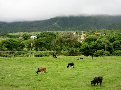 SERRA DO QUINCUNCÁ