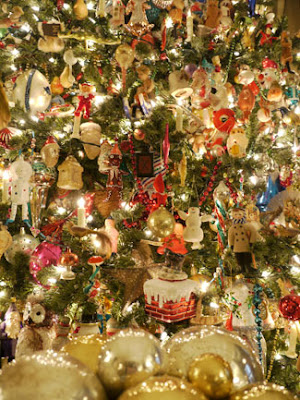 Joe Ruggiero Designer/ HGTV Host: December 2011