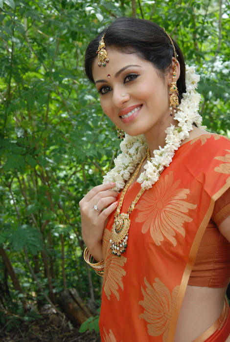 sada gorgeous in beautiful orange saree glamour  images