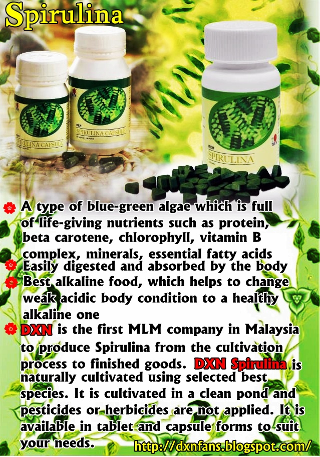 to the DXN Fans Blog