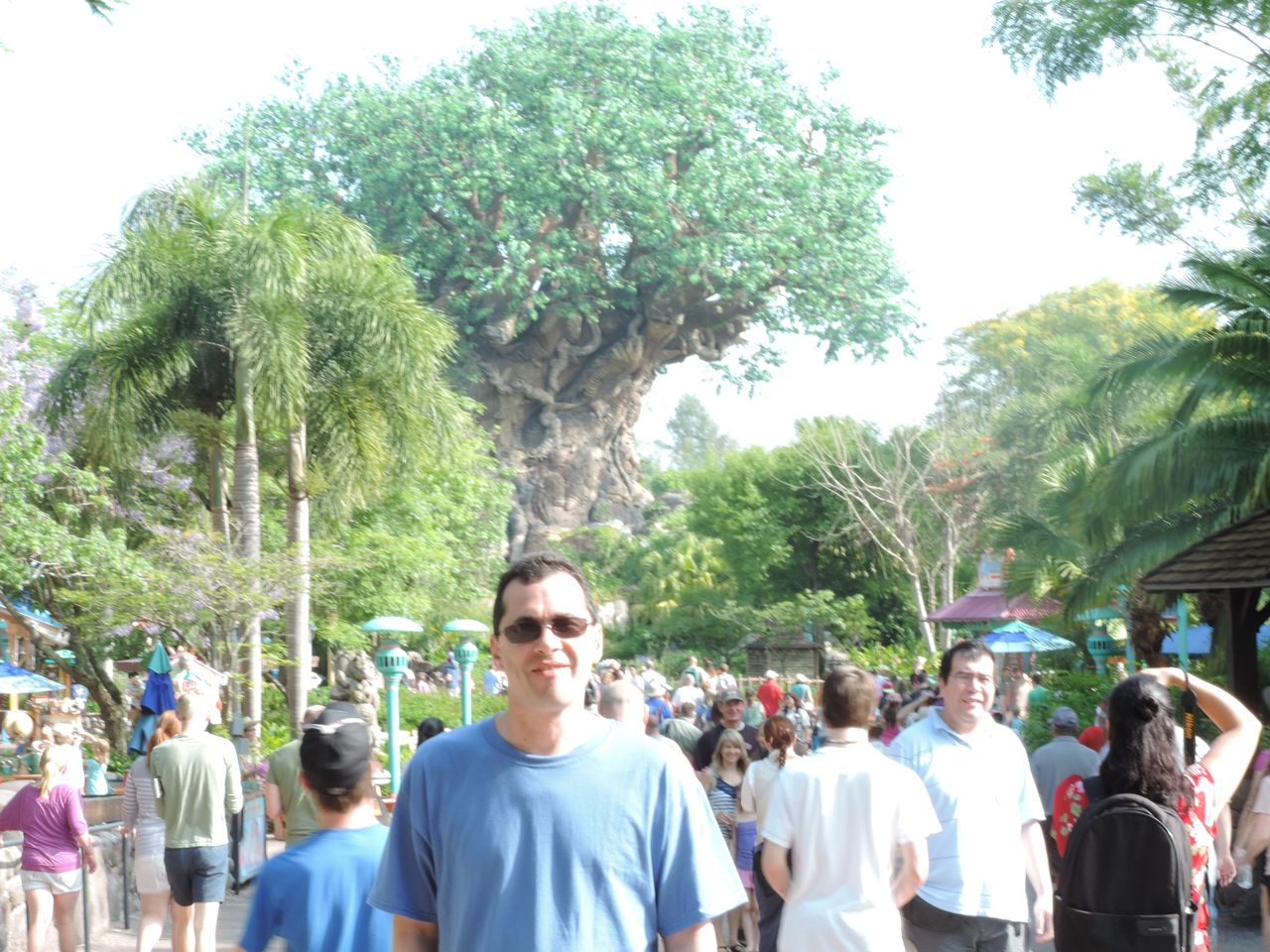 Disney Day 3 Animal Kingdom 5.12.13