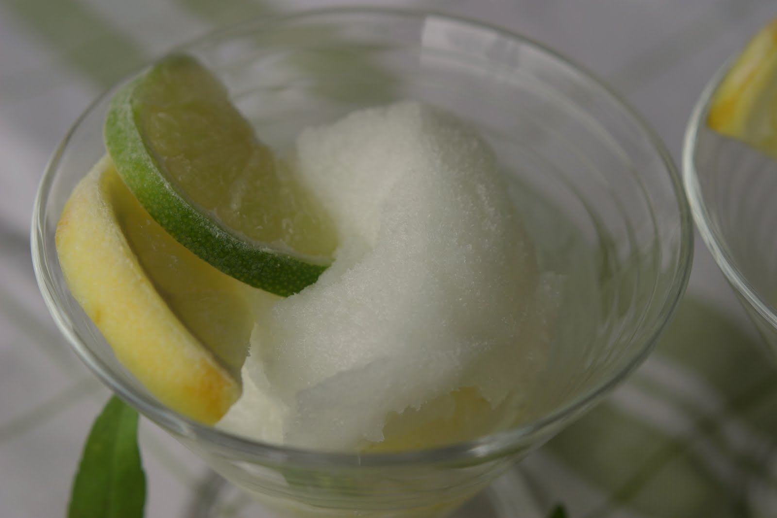 Marias Salt og Søtt Gin & Tonic Sorbet