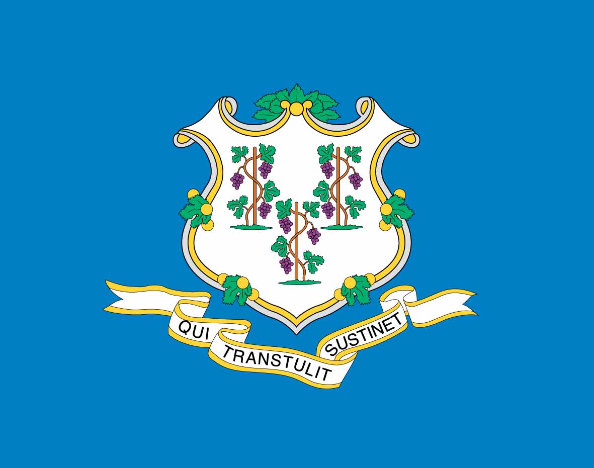 Handmade By Paula: MWT State Flag Challenge