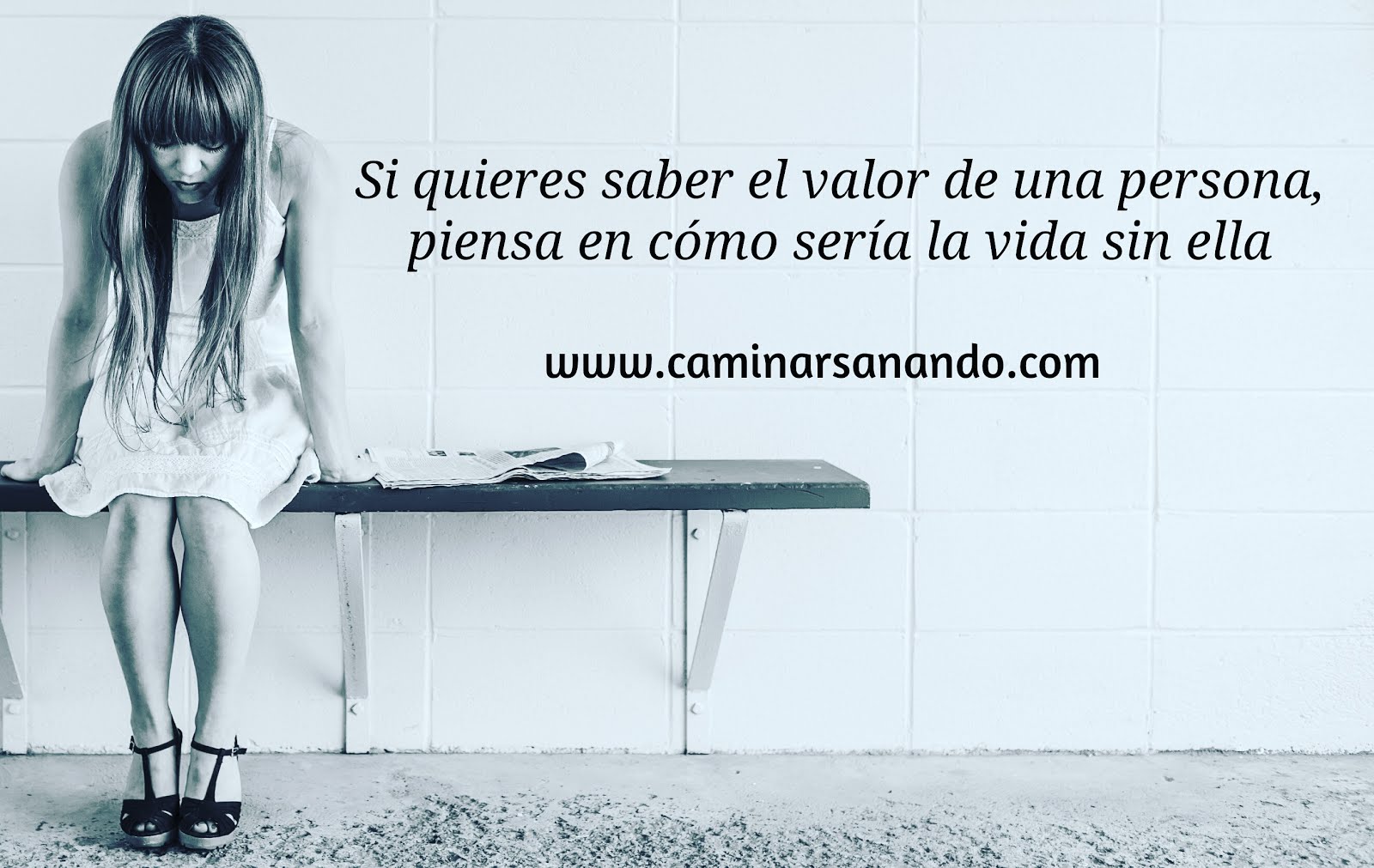 Frases