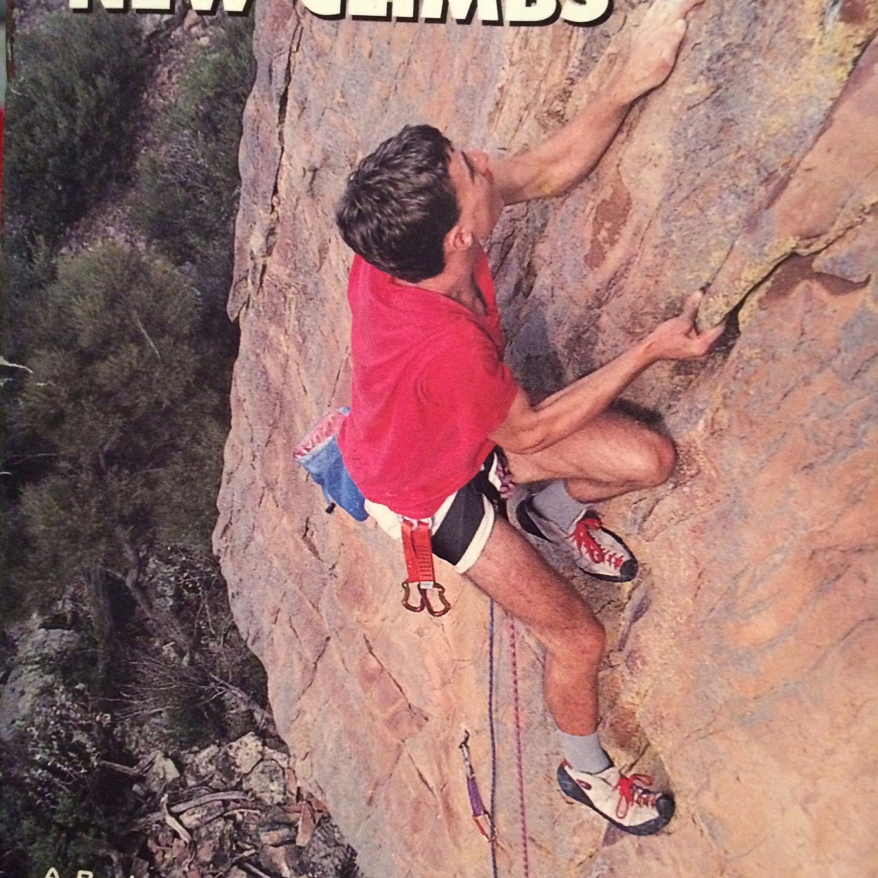 kensbigbackyard Did I kill Andrew McAuley?