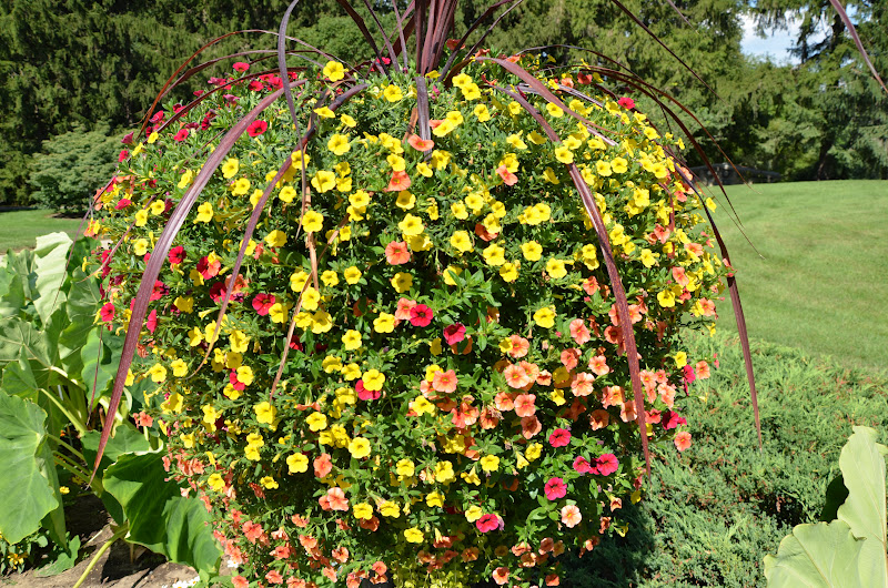 Photography by Christopher List: The Irish Hills and Hidden Lake Gardens