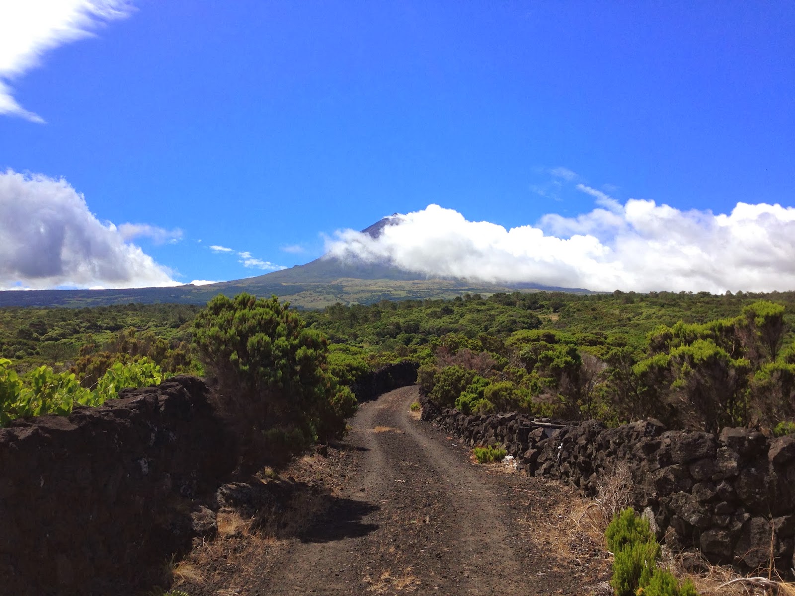 Landscape of the Pico Island Vineyard Culture UNESCO and Me
