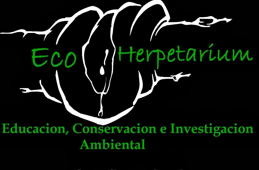 Eco Herpetarium