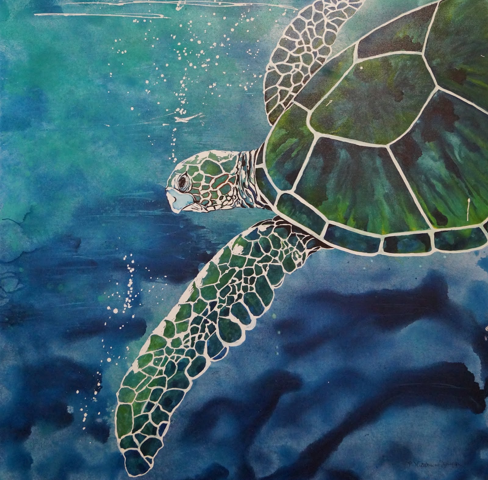 Sea Turtle