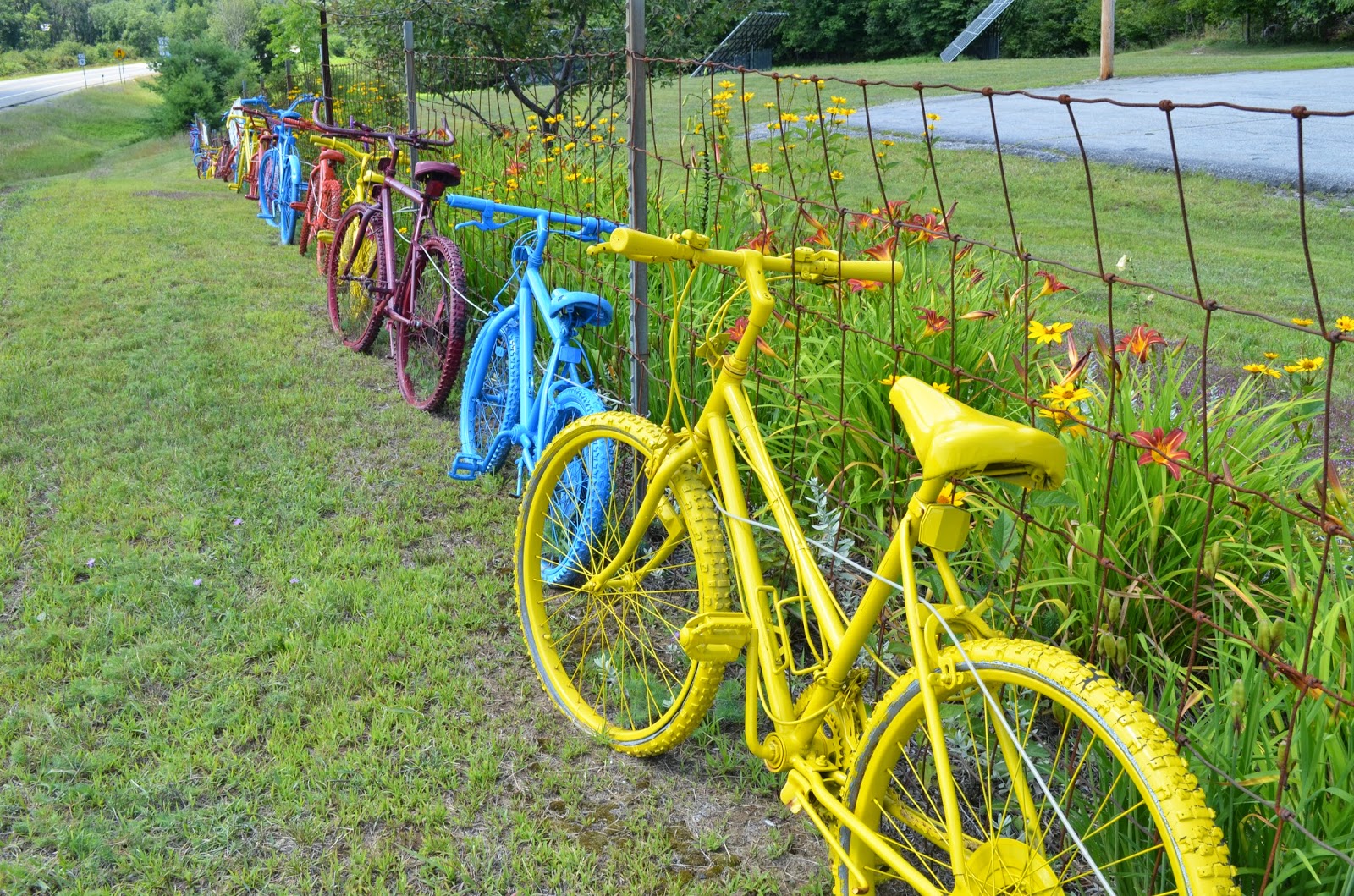 There's a Dragon in my Art Room: Photo randomness from the past week or so
