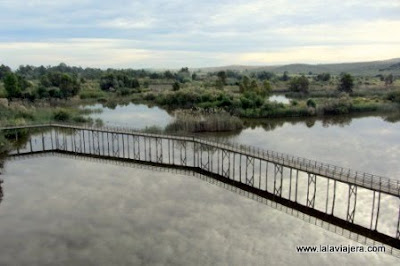 Laguna Corredor Verde Guadiamar, Sevilla