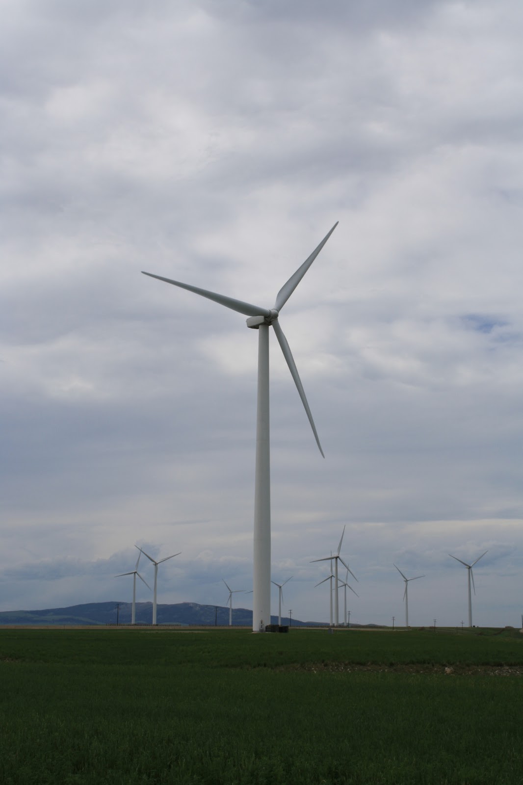 Living and Dyeing Under the Big Sky Central Montana Wind Turbine