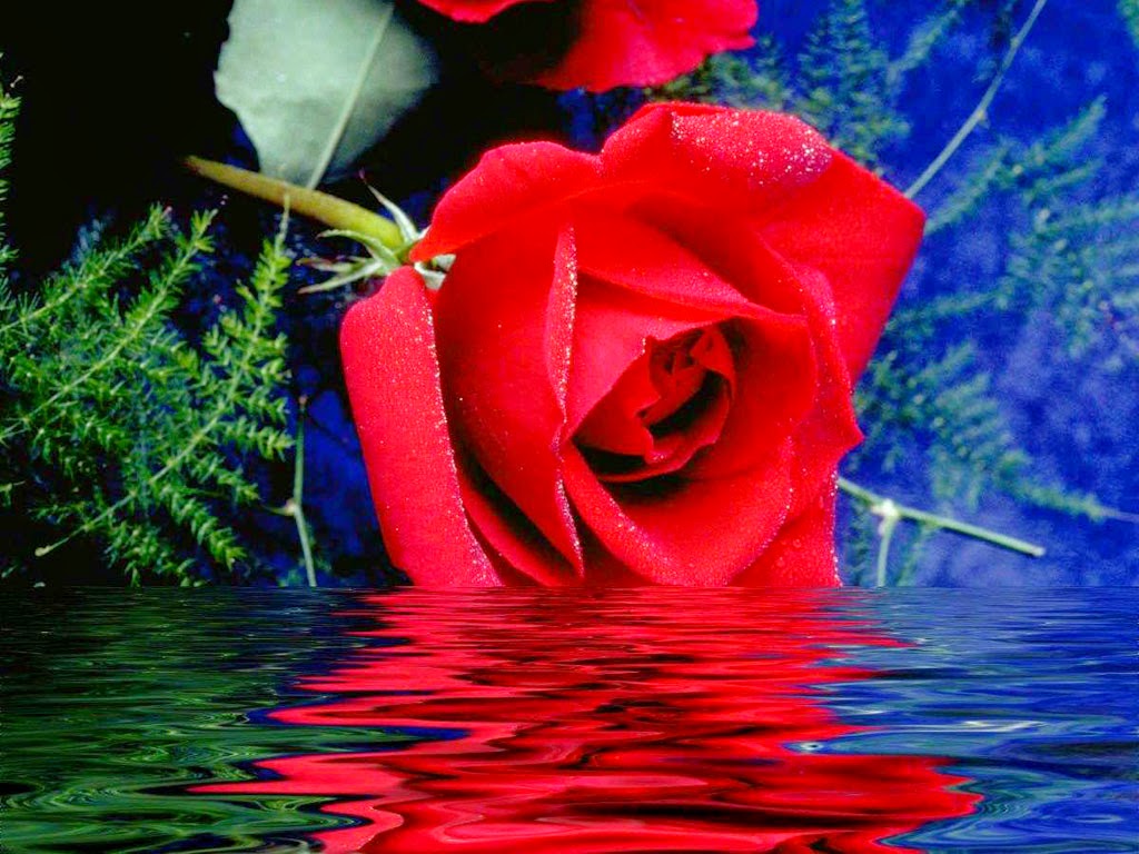 Hình ảnh có liên quan