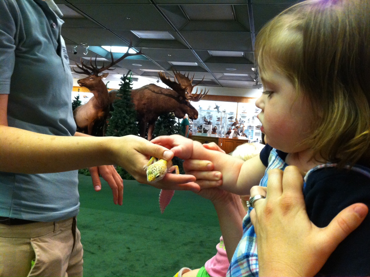 Utah County Mom Monte L. Bean Life Science Museum Live Animal Show