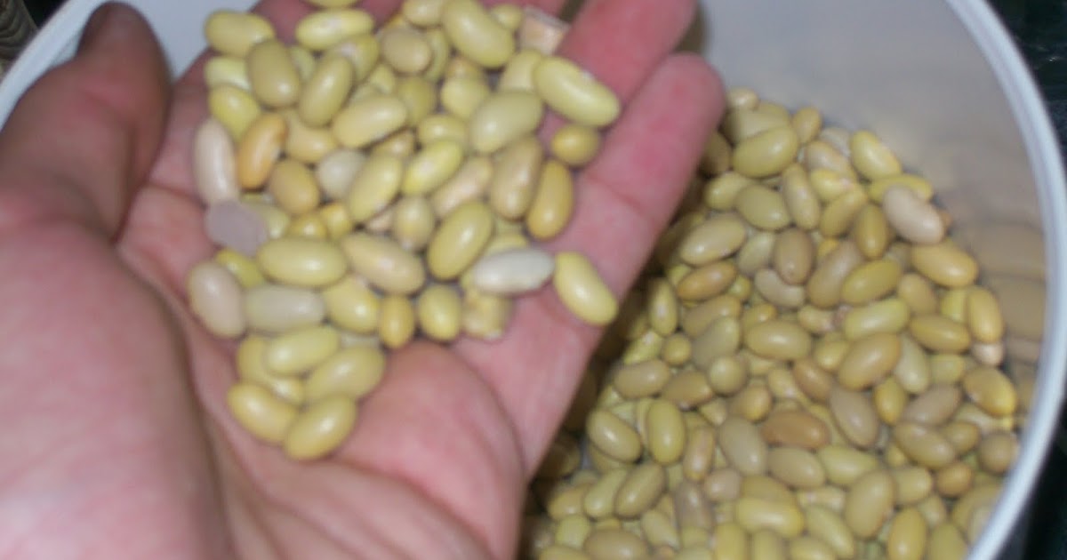 La Cocina De Nathan Cuban, Spanish, Mexican Cooking & More Potaje de