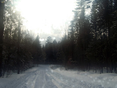 winter+road+in+the+woods - Reasons to Love Winter
