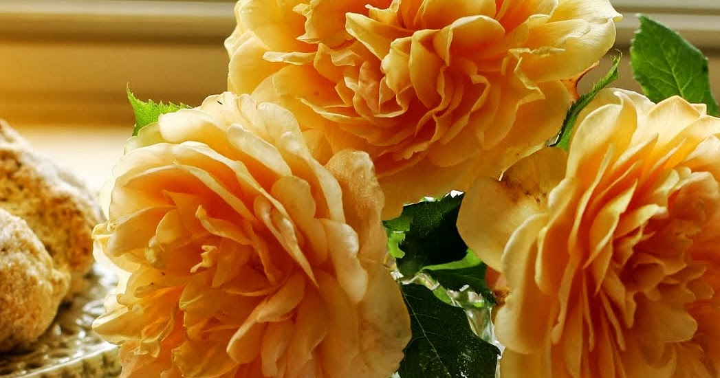 Aiken House & Gardens Teacups & Roses