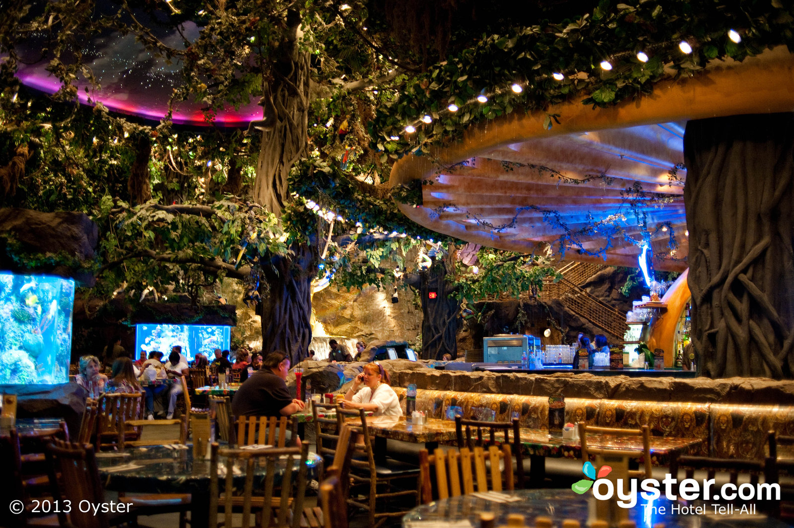 Rainforest cafe orlando coupons