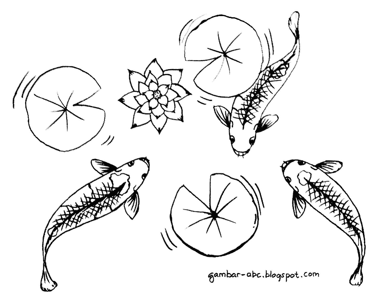 Mewarnai Gambar Ikan Koi Contoh Gambar Mewarnai