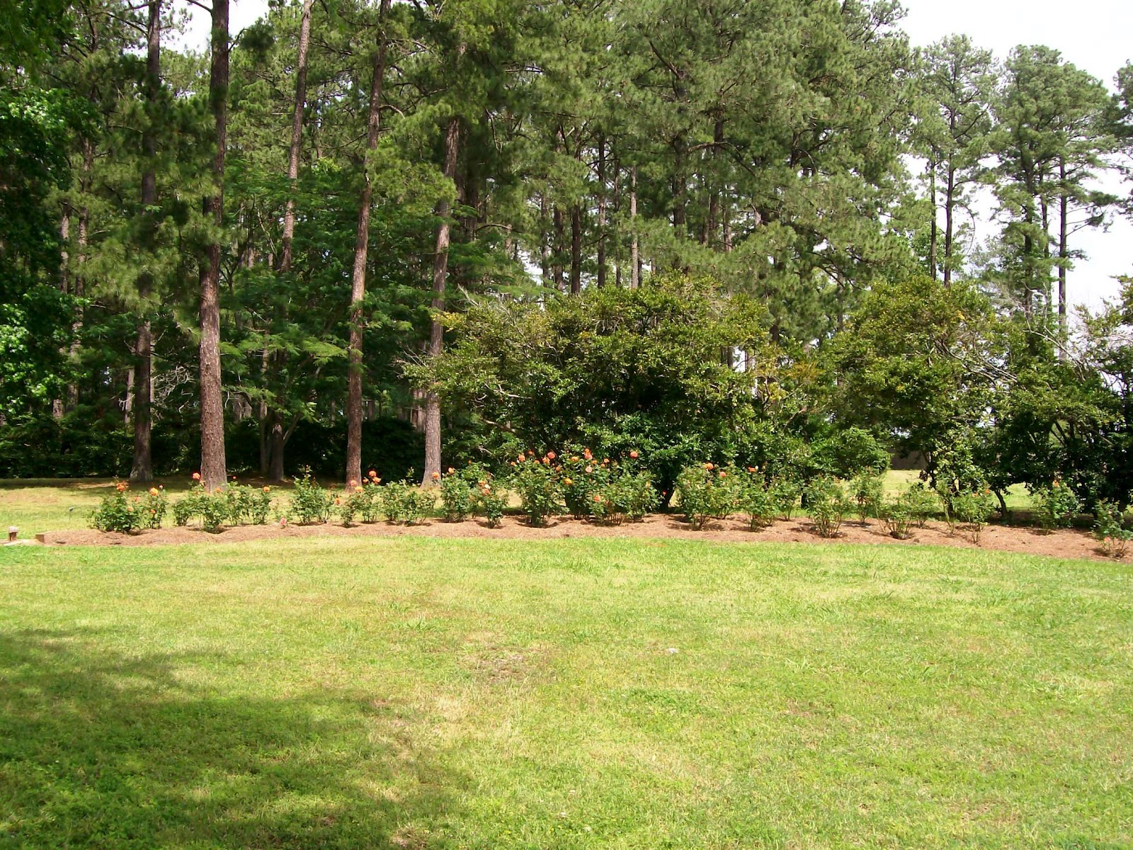 Rockhounding Around American Rose Society home & the Shreveport Rose