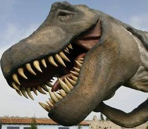 fotos dinosaurios reales fotos dinosaurios reales