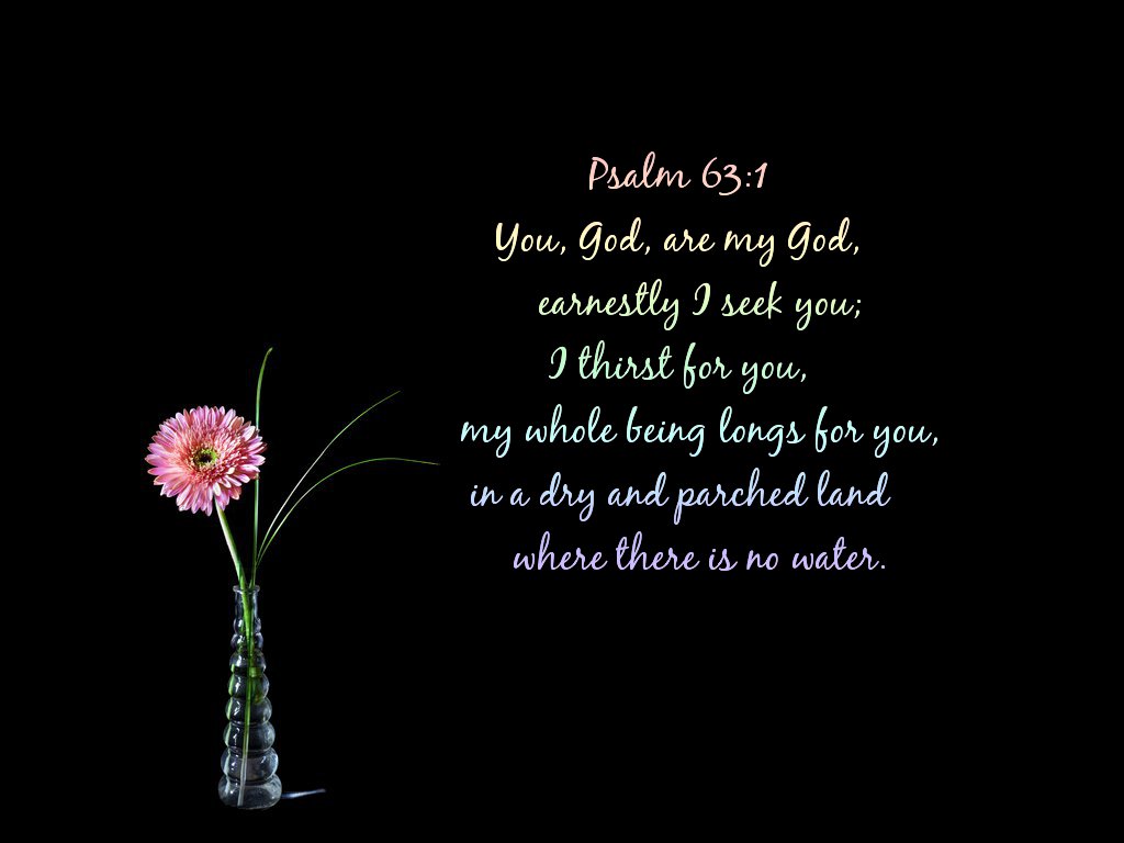 Psalm+23+1+6+NIV Psalm 1 1 6 Niv http://www.holyspirit.co.in/2013/06/psalms-bible ...