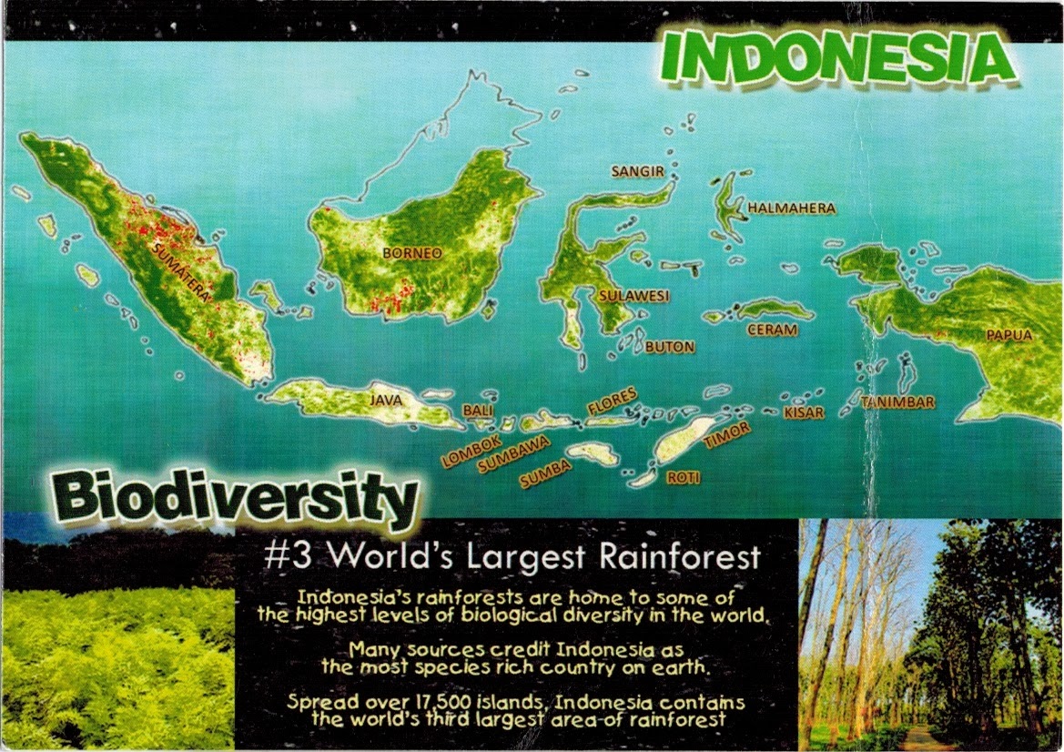 Map Cards Hunting 0251 Indonesia Biodiversity