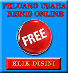 PELUANG USAHA BISNIS ONLINE