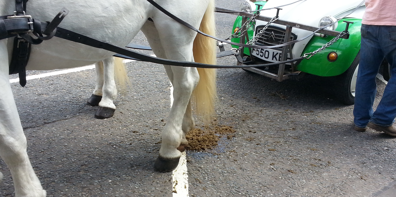 'Deux Chevaux A Performance by William Mackrell', 21st June 2014