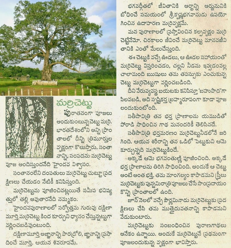 Essay on neem tree wikipedia