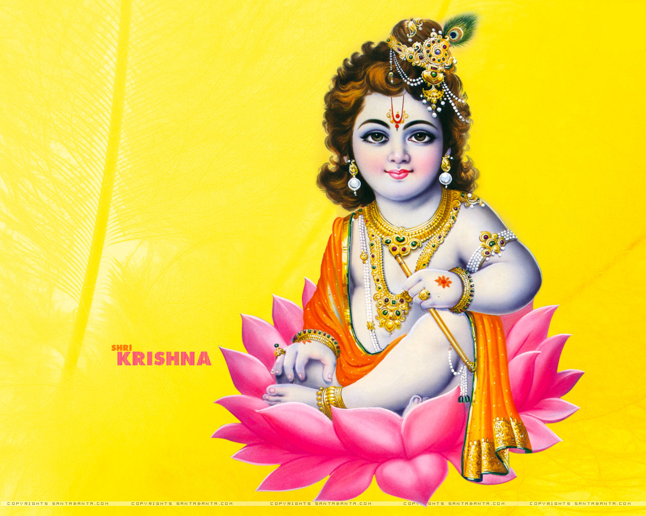 Indian God Goddess Lord Krishna