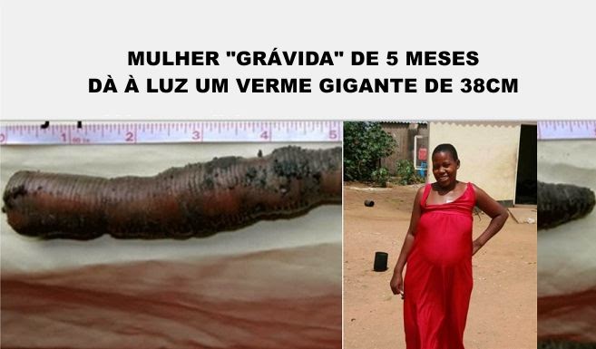 Como querosene para retirar vermes em