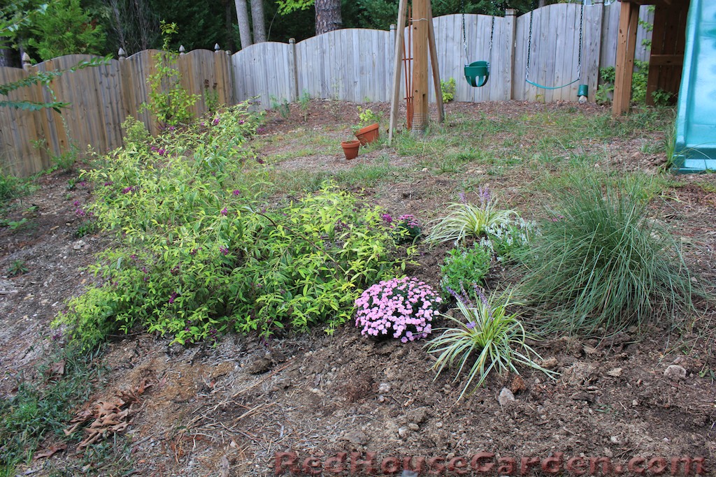 Flowers For Flower Lovers Butterfly Bush Flowers