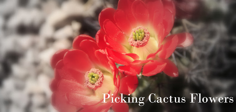 Picking Cactus Flowers