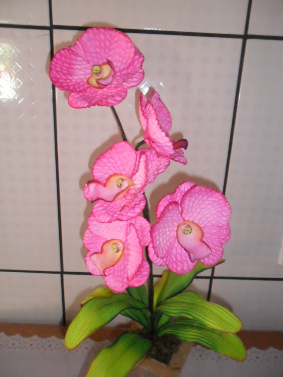 Orquídea