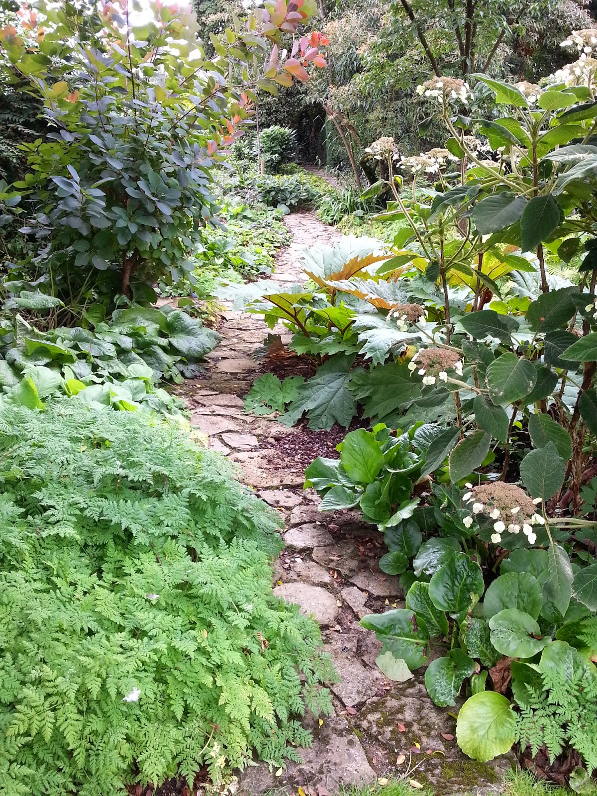 Gartenwelten Ein Reisetagebuch Barnsley House Barnsley