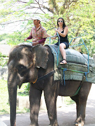 BRENDA OP DE OLIFANT