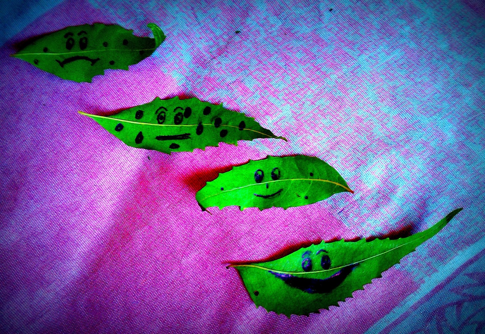 Chicken pox diet and treatment for Adults Chicken pox treatment and diet