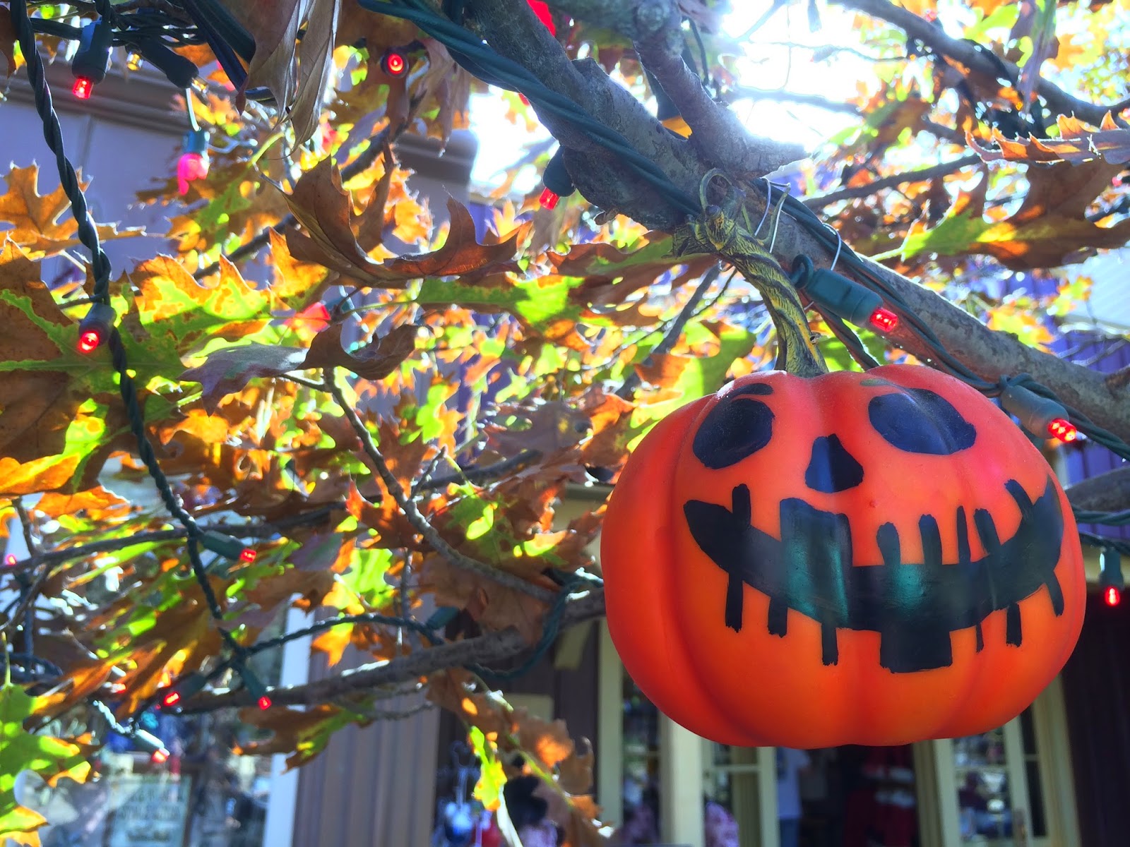 Disney Sisters The �Halloween Tree� shines at Disneyland during
