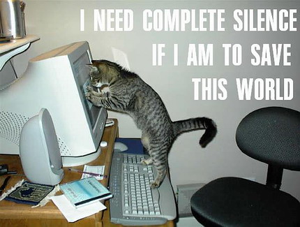 funny orkut scraps funny cats images computer