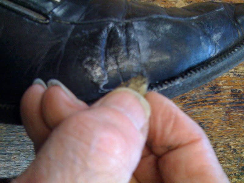 Colle à chaussure réparation de chaussures adhésif cordonnier