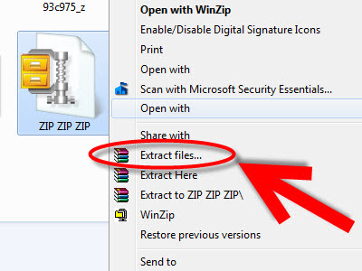 How to extract a zipped file