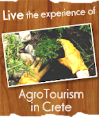 Agro-Tourism in Crete