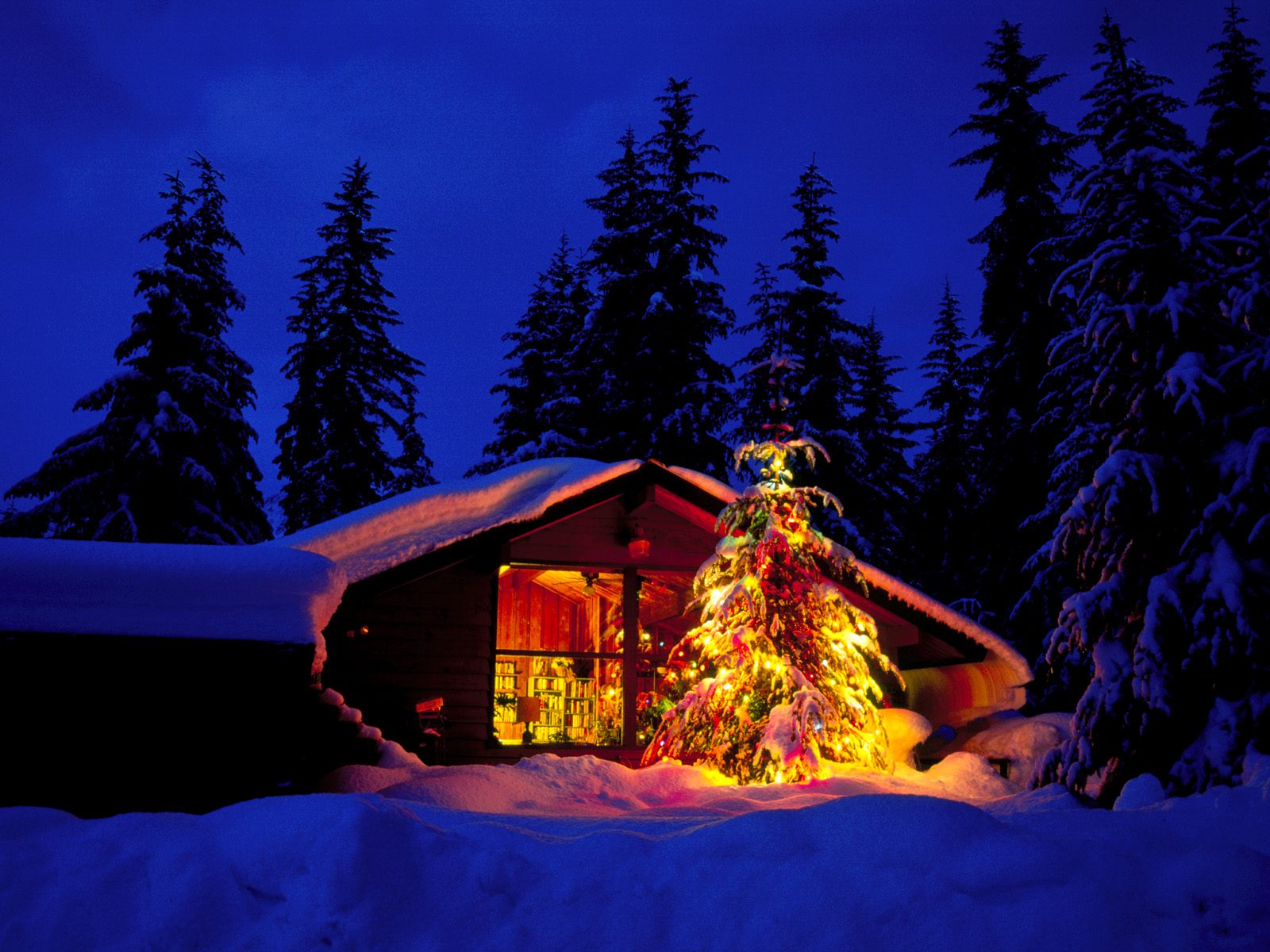 http://2.bp.blogspot.com/-P9b0DjLyaiU/UJuwn4ge2BI/AAAAAAAAzA4/KiQeRP0_jt8/s1600/hinh+nen+noel+2012+vanluong+(81).jpg