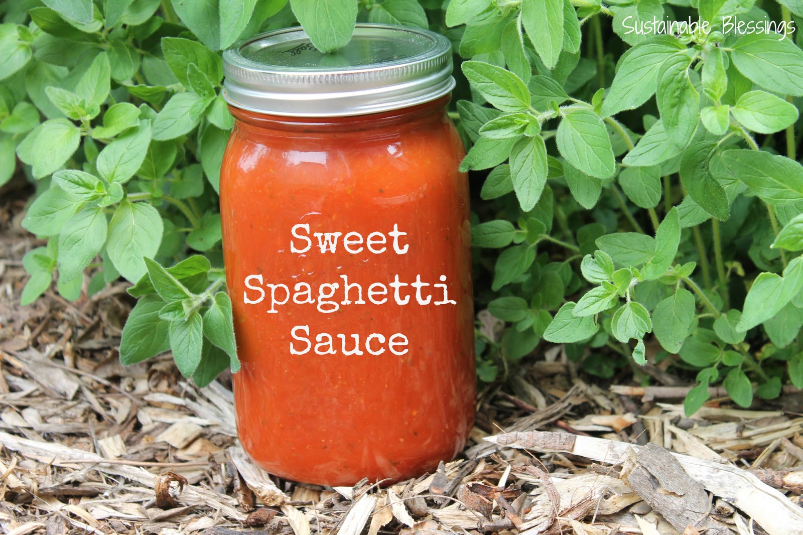 Sustainable Blessings Sweet Spaghetti Sauce